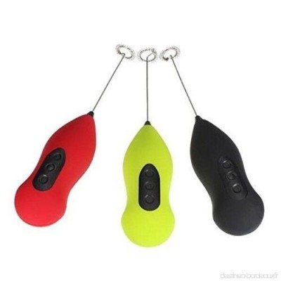 Mini Fouet Electrique