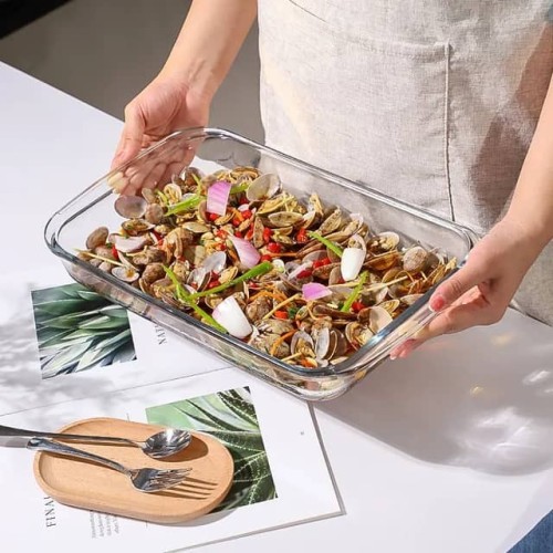 Assiette  en Verre épais Grand Plat de Cuisson rectangulaire 2